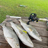 5" Smoke Shad With Built-In Tail Rattle