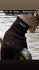 files/56627AC2-6063-4260-971F-C6A3EA4AB0C4.jpg