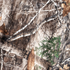 files/5_Realtree_Edge_Camo_Chair_Blanket_700x700_a634e463-95d1-4862-95f7-fcb400b049f3.png