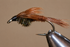 files/5a3aca59-bb90-4ae2-b818-97fb62142b2f.png