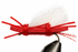 files/64a12c61-66f6-4353-ba3a-b71cf974bd6b.png