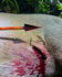 files/6_0962805e-3e7c-4ed0-921f-ec58929cf4a1.png