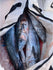 files/71Z6MTU_RrL._AC_SL1500_e3651903-f4ac-4e6d-b99b-3c623d15e858.jpg