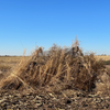 Nukem Double Up System - Mossy Oak Habitat