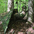 files/815A6679_5.jpg