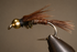 PT Nymph – Bead Head & Standard