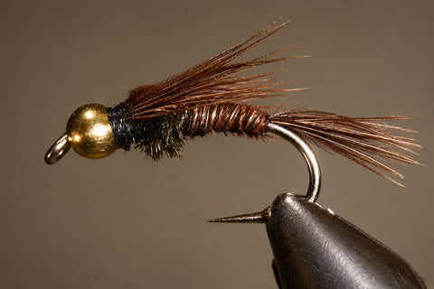 PT Nymph – Bead Head & Standard