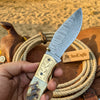 Stagline Damascus Folder 7" Handmade Horn Handle Damascus Bolster