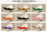 files/8a7f1ca5-b638-4aa4-90fe-c566700861f9.png