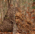 files/95925248-666E-4393-9A51-D1BC9E984843.jpg