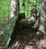 files/9630458B-6EC3-45EF-8090-075BF75FA1CE.jpg