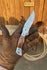 files/A16EB423-D244-4FC8-A1CD-189A389A1457.jpg