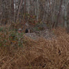 Nukem Double Up System - Mossy Oak Country Roots 3D Leafy