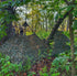 Nukem Hunting Blind - Mossy Oak Greenleaf 3D Leafy