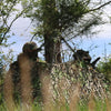 Nukem Hunting Blind - Mossy Oak Obsession 3D Leafy