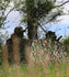 files/AC8FB779-75EA-4063-BD37-FA93A23F06D4.jpg