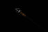 files/Annihilator-Aug-2020-WEB-18.jpg