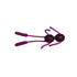 files/Apache_2_Purple.jpg