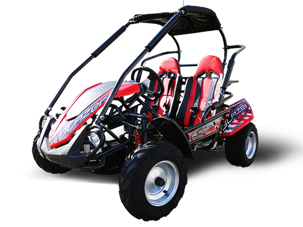 TrailMaster Blazer 200R MID-Size Go Kart, 7.5hp Torque Converter, Electric Start Reverse, Kids Ages 7-12