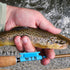 files/Brown_Trout_Caught_with_Wasatch_Tenkara_Rods_and_WTR_Line_Holder.jpg