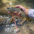 files/Brown_Trout_Caught_with_the_Akai_Samurai_Tenkara_Rod.jpg