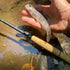 files/Catch_and_Release_Small_Trout_by_the_Stream.jpg