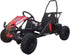 files/Cheetah_3_Kids_Mini_Go_Kart_80cc_gas_engine_seat_belt_-_GoKarts_USA_-1801708.jpg