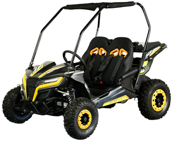 TrailMaster Cheetah-6 Go Kart, 5.5hp Electric Start, Remote Start/Kill with Reverse, Kids Ages 4-9
