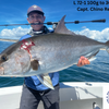 Palmarius L Series Slow Long Fall Jigging Rods