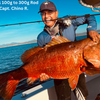 Palmarius L Series Slow Long Fall Jigging Rods