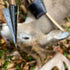 files/ChrisMacdonaldGlueOn3Blade.jpg