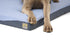 files/ColtonJacobs_20220423_DogBed_Foam_Paw_Macro.jpg