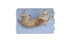 files/ColtonJacobs_20220423_Large_DogBed_TopDown_wDog.jpg
