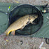 files/Common_Carp_Caught_with_Wasatch_Tenkara_Rods_Spin_Rod_Setup.jpg
