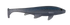 files/CosmicBlue.png