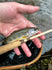 files/D1FD7AB5-8787-44EB-B713-B3CC818EBCB5.jpg