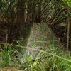 Nukem Hunting Blind - Mossy Oak Obsession