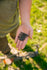 files/DSC01864_1.jpg