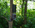 files/DSC05982.jpg