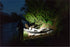 files/DSC07354.webp