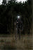 files/DSC08645.webp