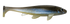 files/DirtyHitch.png