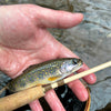 Small Stream Trout Kit