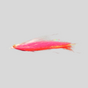 FS Mega Clouser Minnow