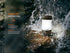 files/Fenix_CL26R_PRO_rechargeable_camping_lantern_waterproof.jpg