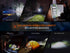 files/Fenix_E35R_high-performance_rechargeable_LED_flashlight_uses.jpg
