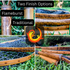 files/Finish-Options_Hellbender_Fishing_Nets_6775877a-80fe-4ea4-bc2e-92da33fd9966.png