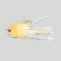 files/Fish-Skull_Big_Game_Brush_Flies_Tan.png