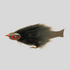 files/Fish-Skull_ForageFly_Black.png