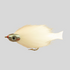 files/Fish-Skull_Forage_Fly_White.png
